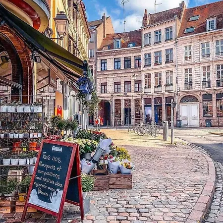 Le Saint Andre Apartment Lille